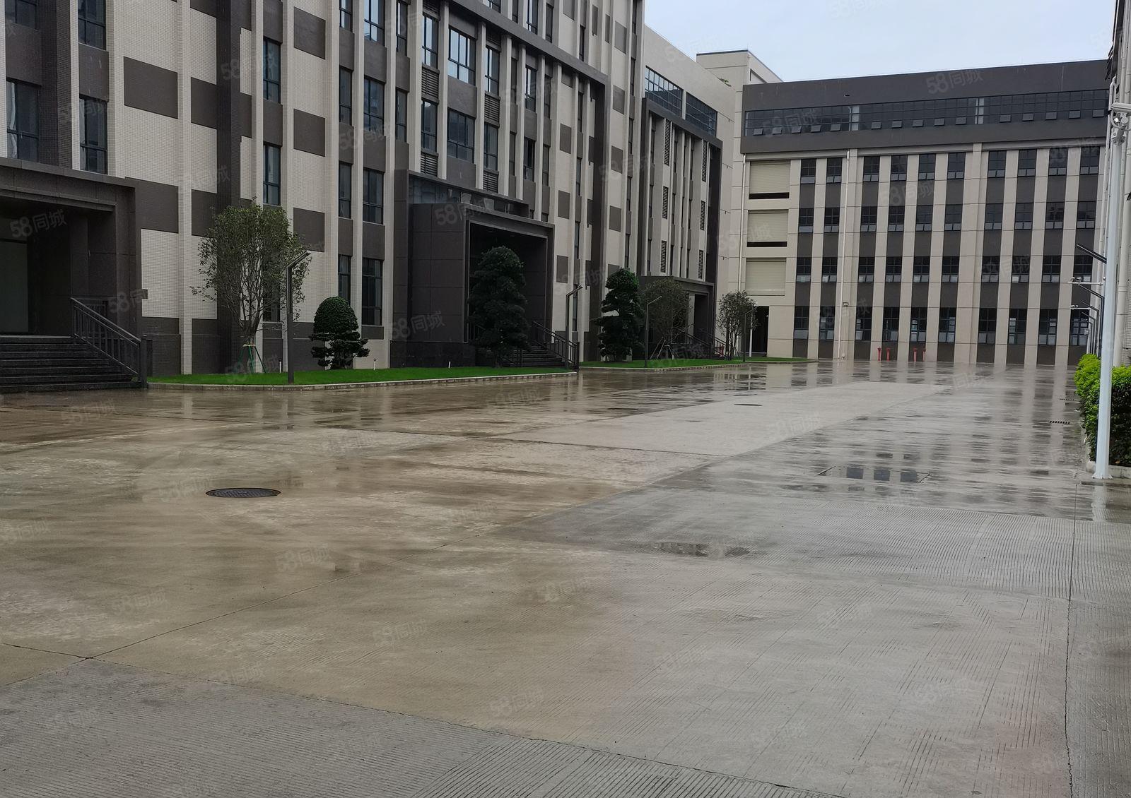 镇隆原房东全新工业区标准一楼2000平米厂房仓库出租可办环评