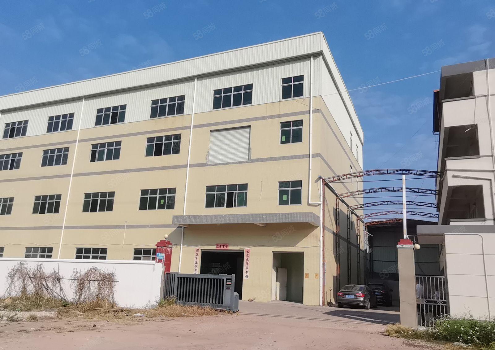 镇隆原房东 经典独院5050平实量面积厂房出租1000平起租