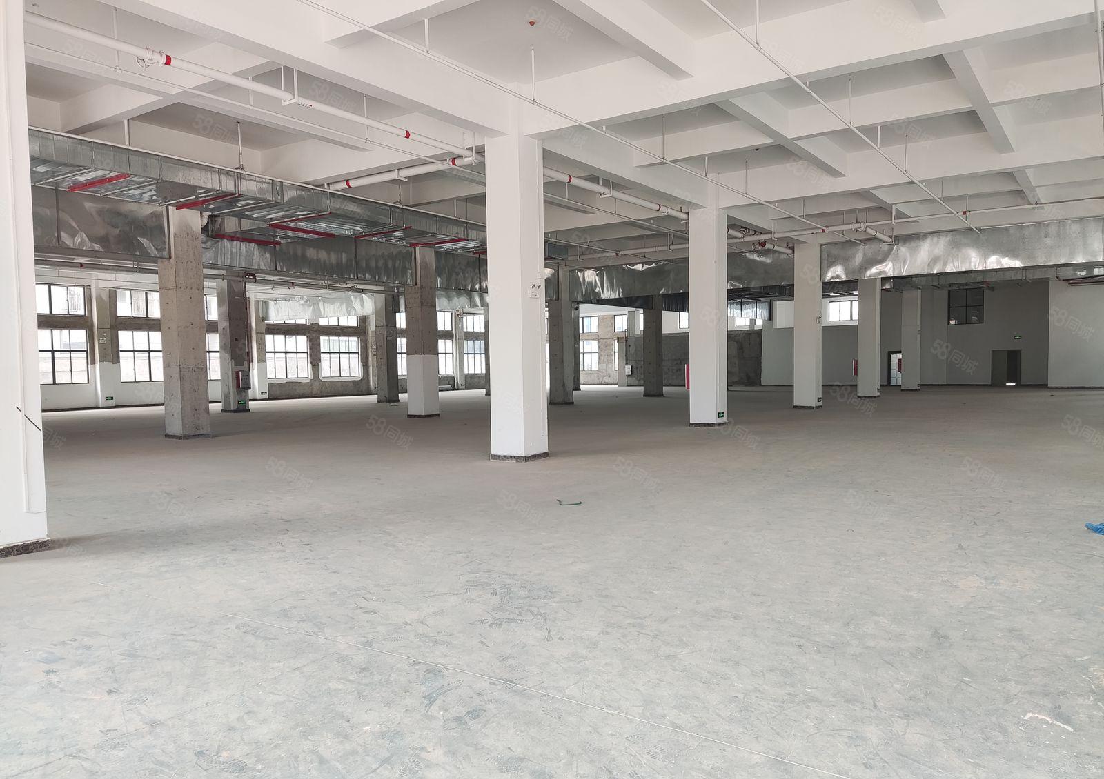 （原房东独栋无公摊带卸货平台）全新厂房出租，1至5层，招工好