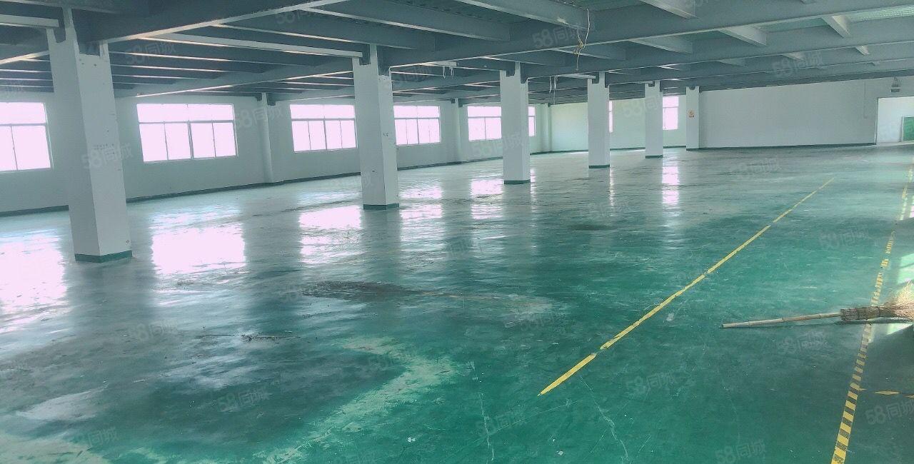 新圩长布原房东独院厂房5层5000平出租