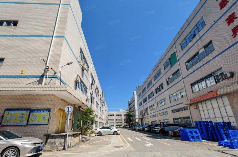 秋长淡水一楼1500平6米高房东低价出租现成装修办公水电齐全