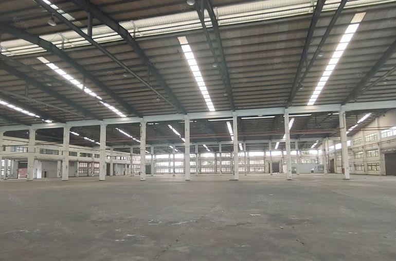 滴水11米单一层厂房32000平方，可分租