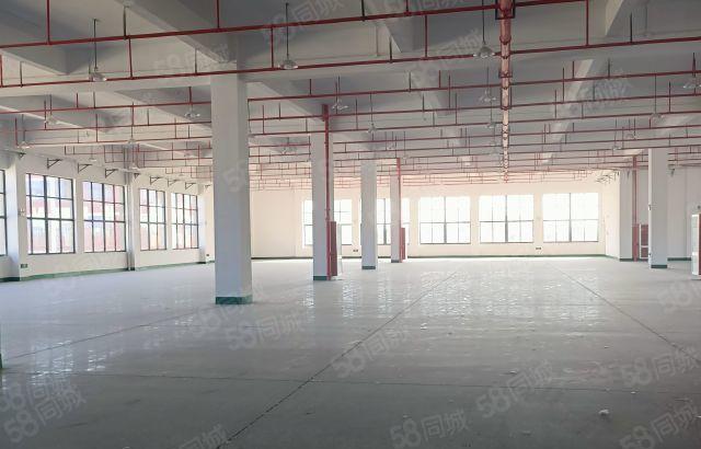 惠阳镇隆独院原房东标准厂房5100平方出租 可分租