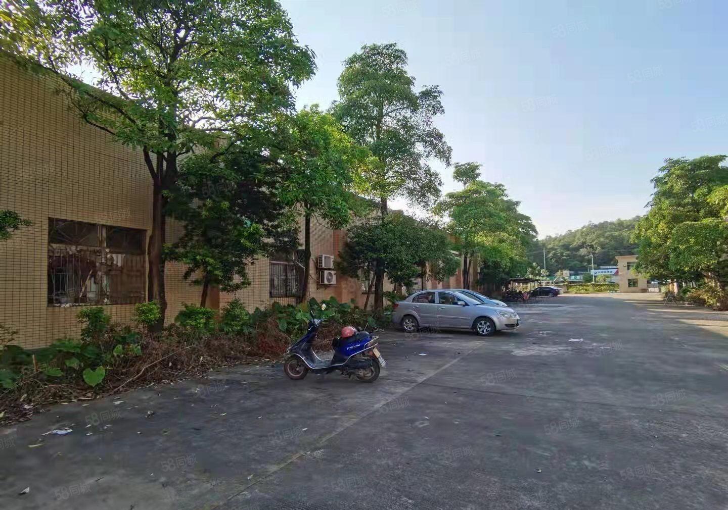 惠阳沙田田头独院单一层4700平方带红本