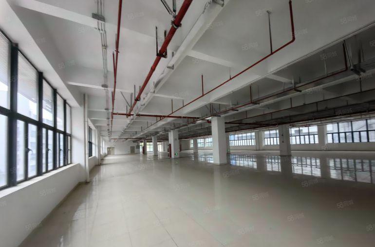 惠阳秋长8000平标准厂房出租大工业园区实际面积红本原房东