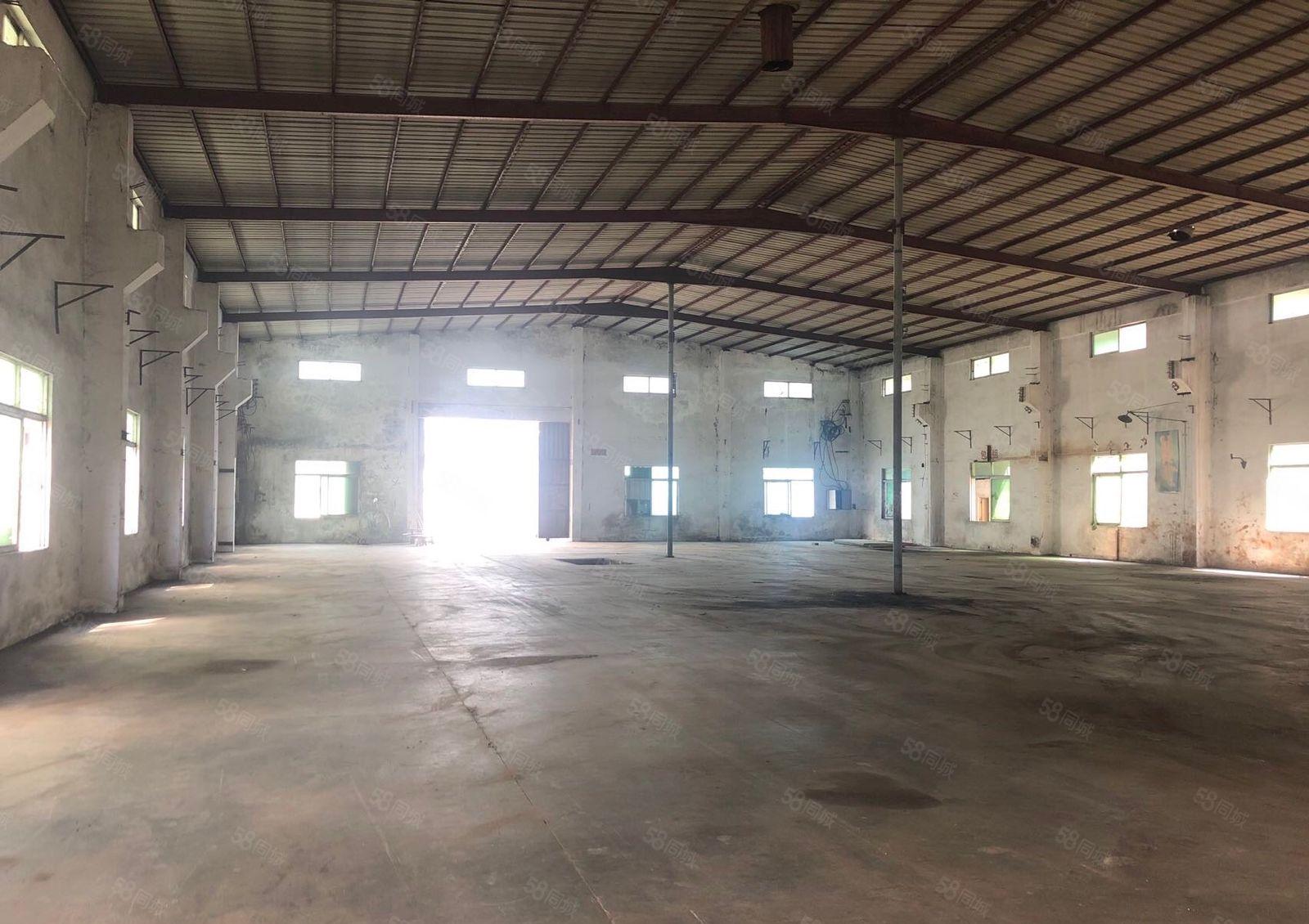 单一层钢构独门独院厂房