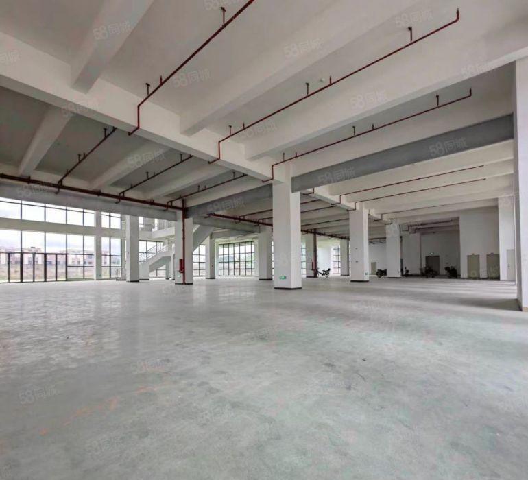 精装修！8.8元惠阳淡水数字产业园标准厂房26888平出租