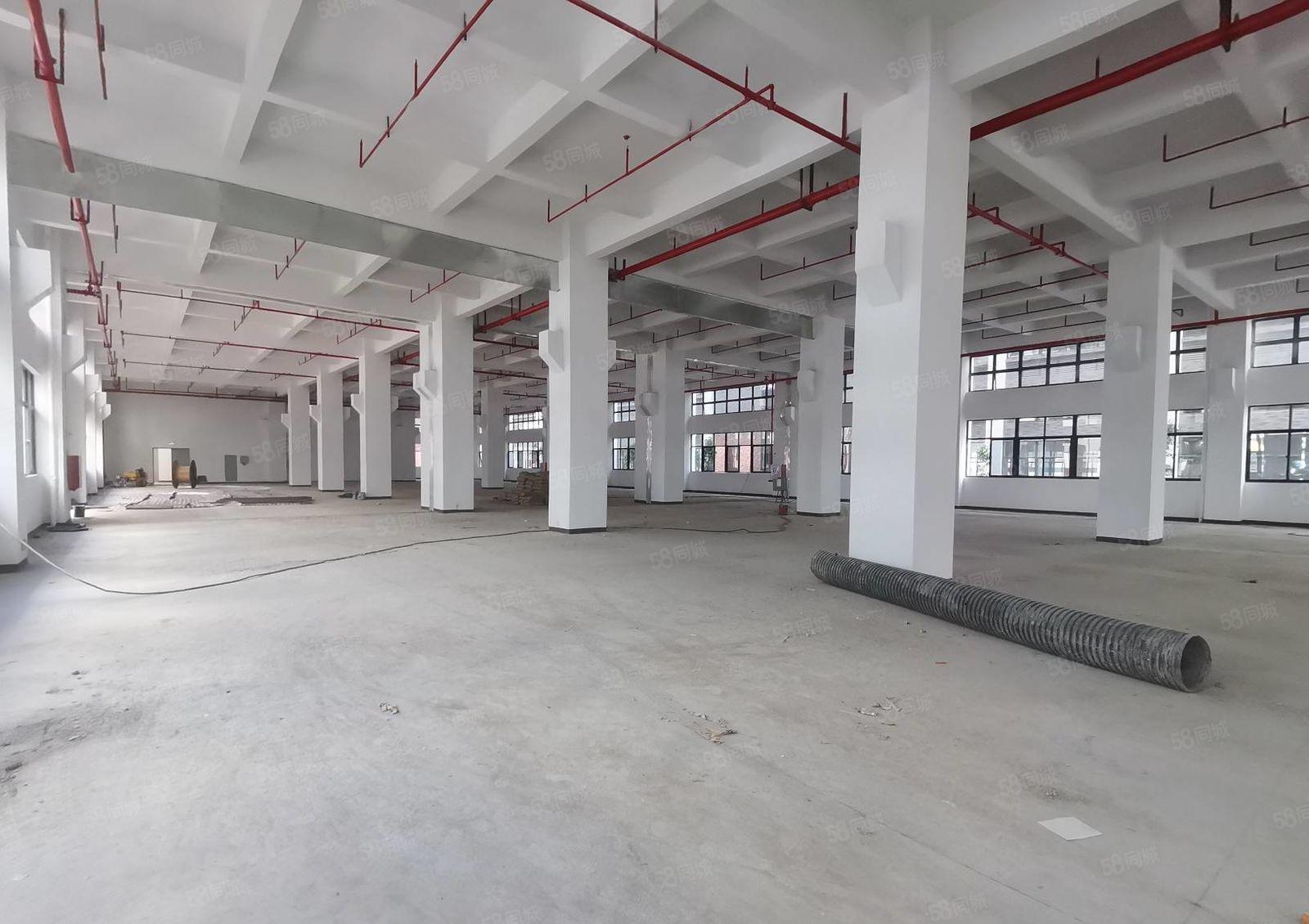 惠阳镇隆甘彼原房东工业园3万平厂房出租300平起分租一楼7米