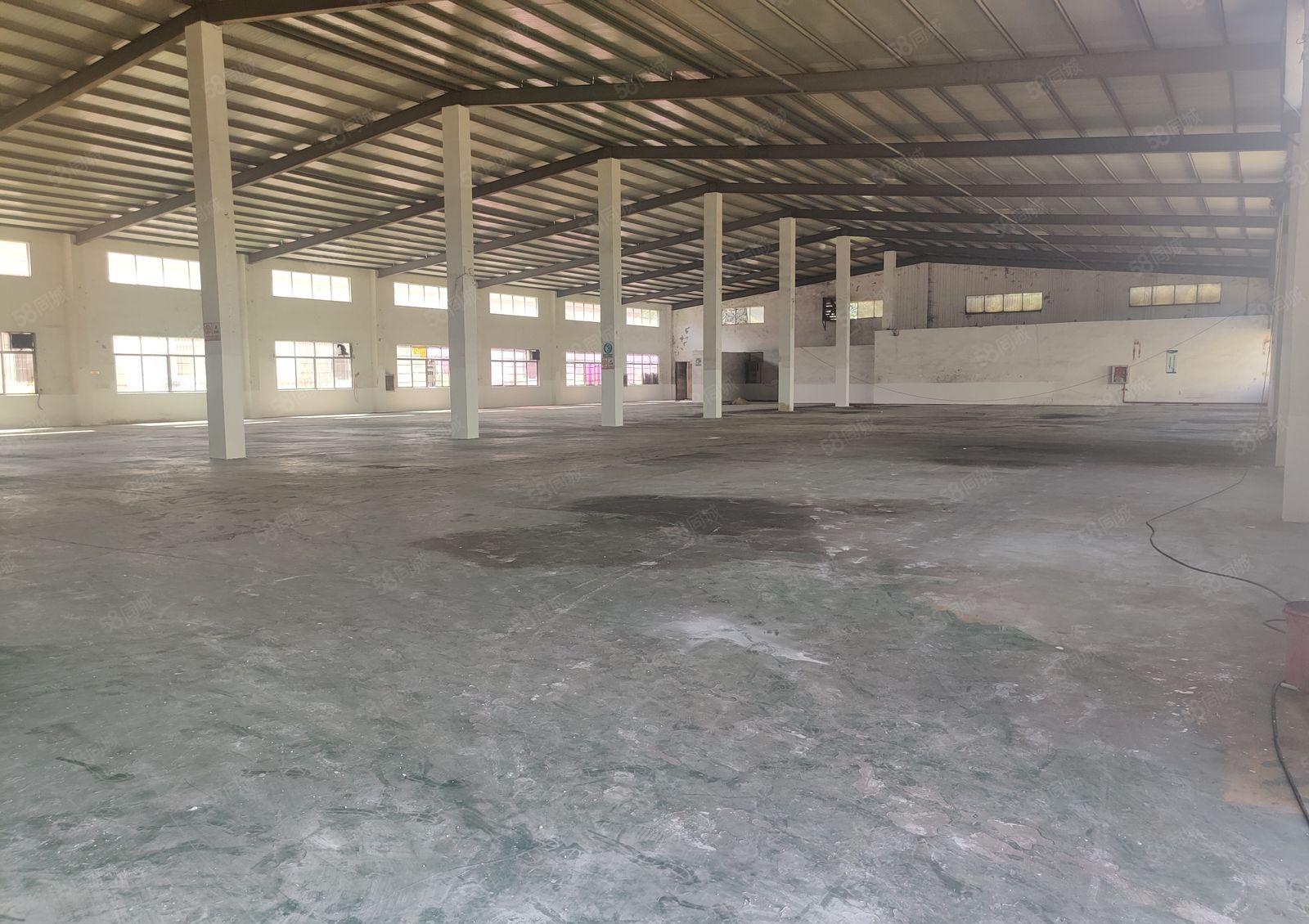 惠阳新圩塘吓独院砖墙到顶钢构厂房3500平出租500平起分。