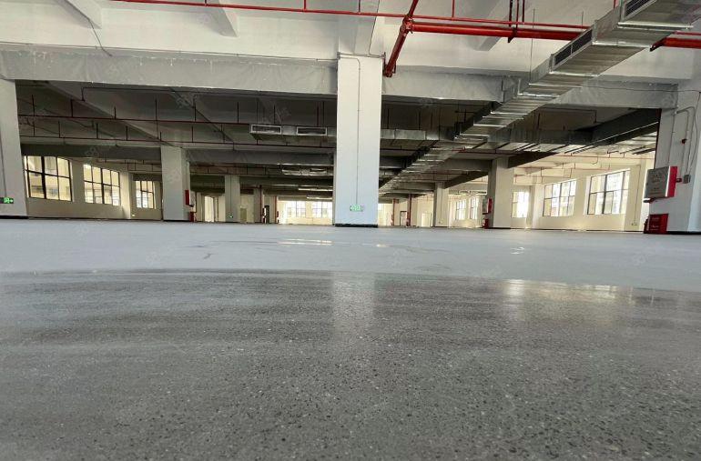 300平起分租惠阳秋长茶园原房东全新红本标准75000平出租