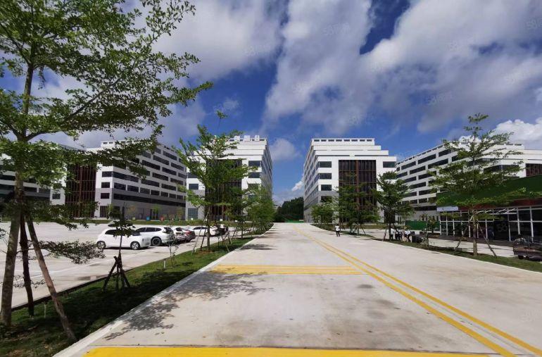 秋长沙田全新工业园3000平仓库厂房出租500平起租分租一楼