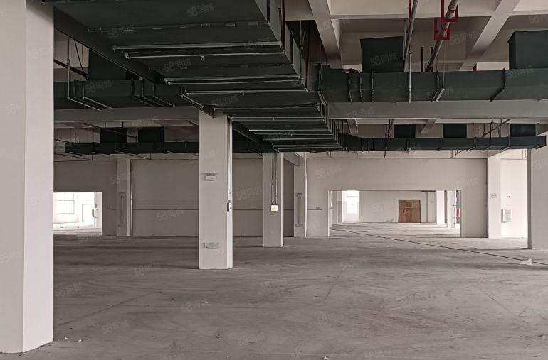 惠阳临深新出原房东直租红本全新标准厂房38363平方米