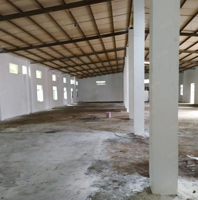 惠州惠阳白花独门独院钢构1000平厂房低价出租空地4000平