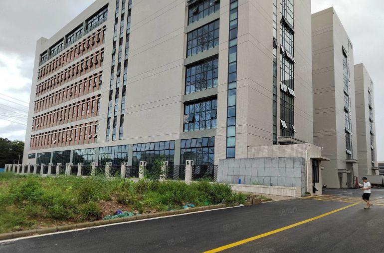 12元300平起分跟深圳一河之隔的国有红本厂房20000平