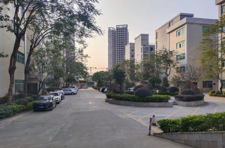 600平起租！10元精装修2楼淡水秋长大亚湾原房东红本厂房