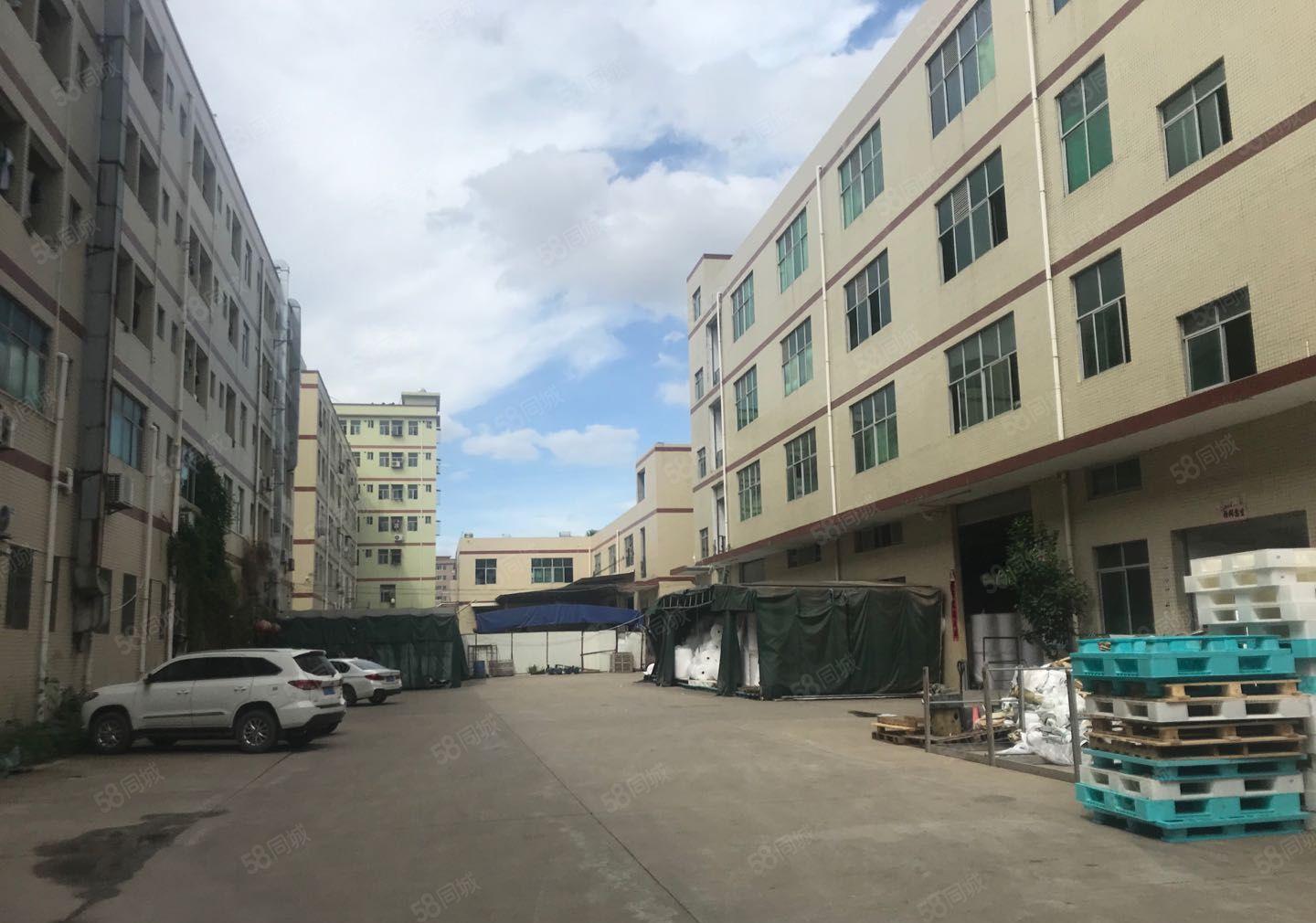 独院 惠阳秋长白石原房标准6500平米出租可分租价格便宜