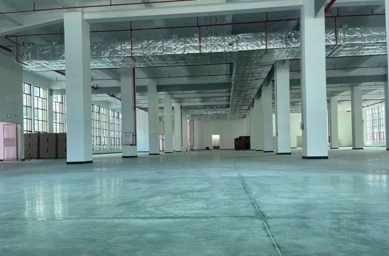 10元零公摊！惠阳沙田5600平原房东厂房仓库低价出租可分租