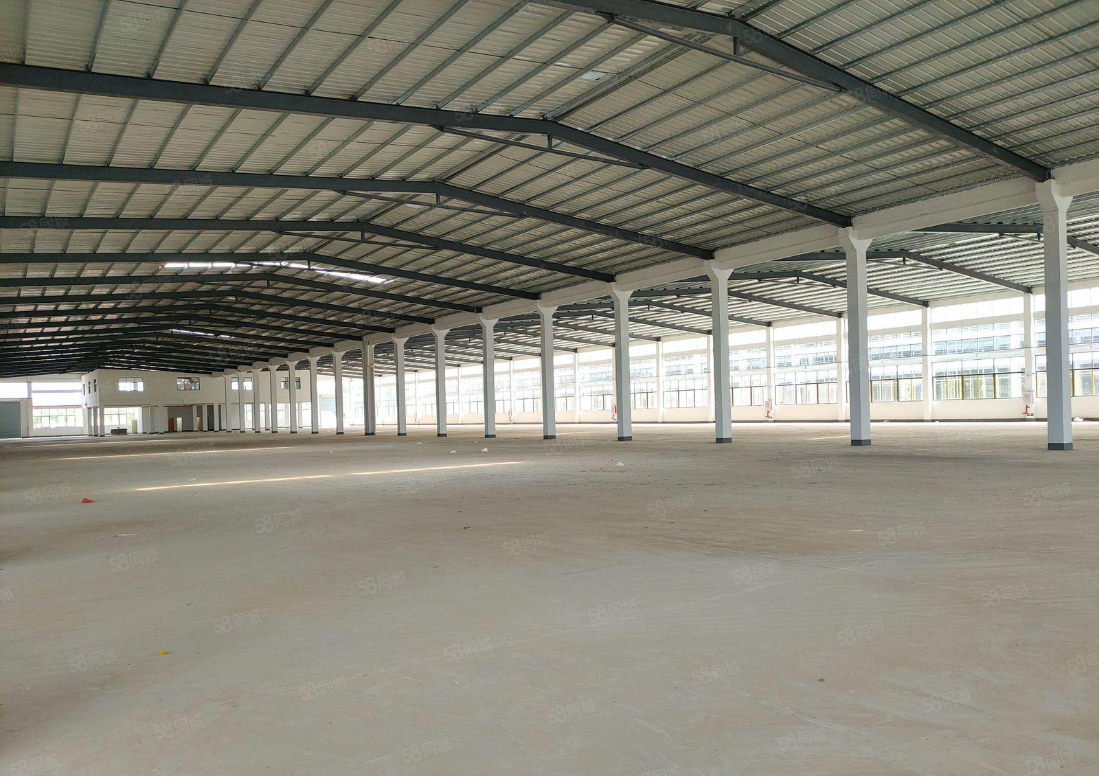 20000平方全新钢结构厂房出租（可分租）