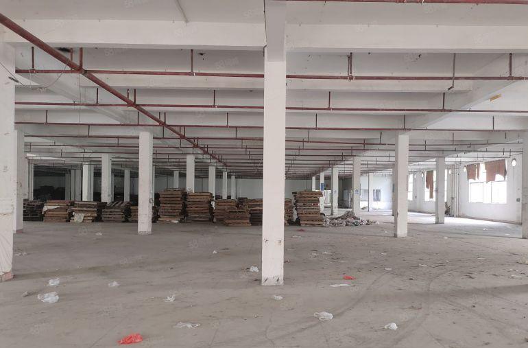 9元特价淡水三和沙田交界红本花园独院厂房仓库带大空地大小分租