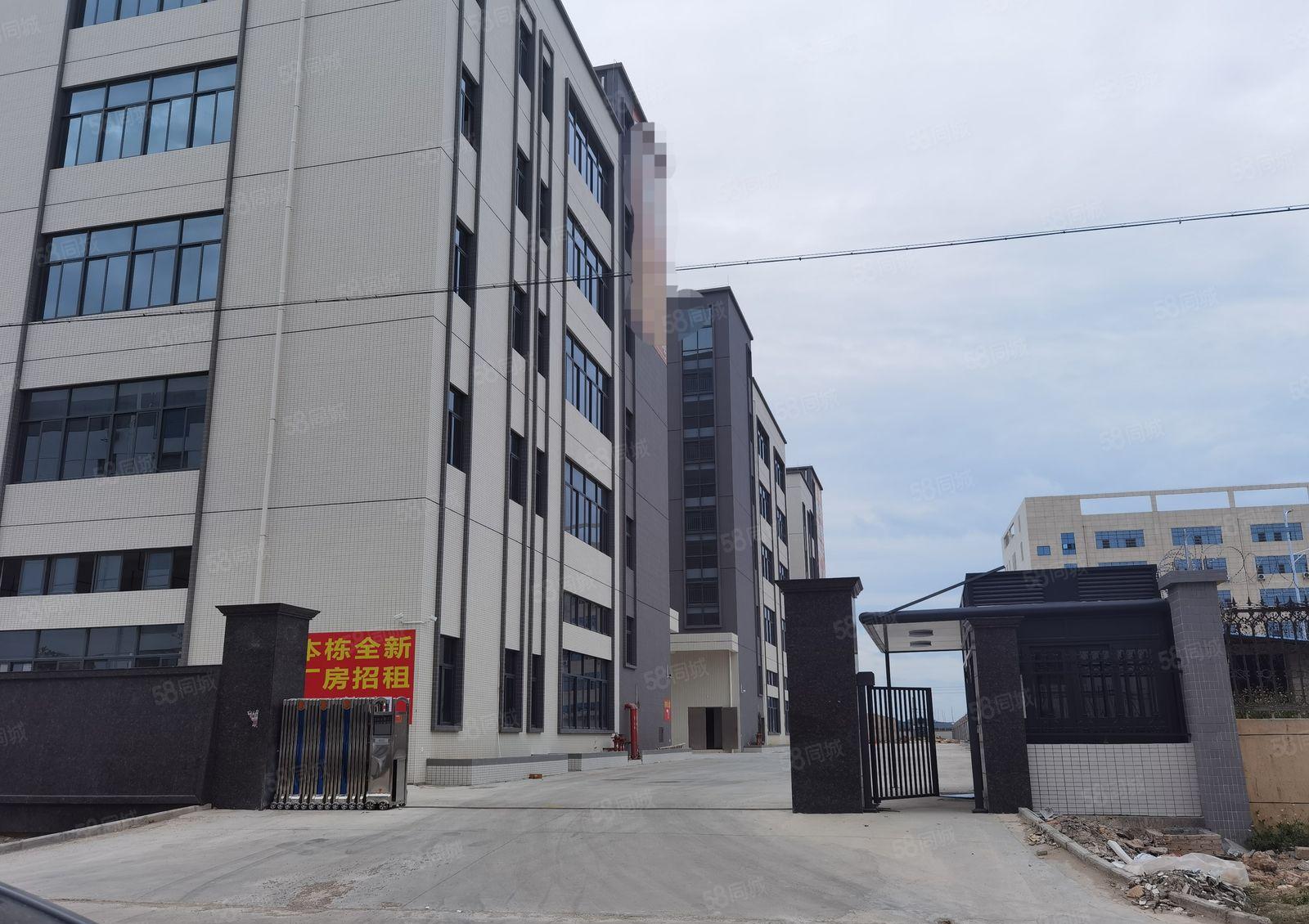 惠州惠阳新圩镇长布村全新经典原房东独门独院标准厂房出租