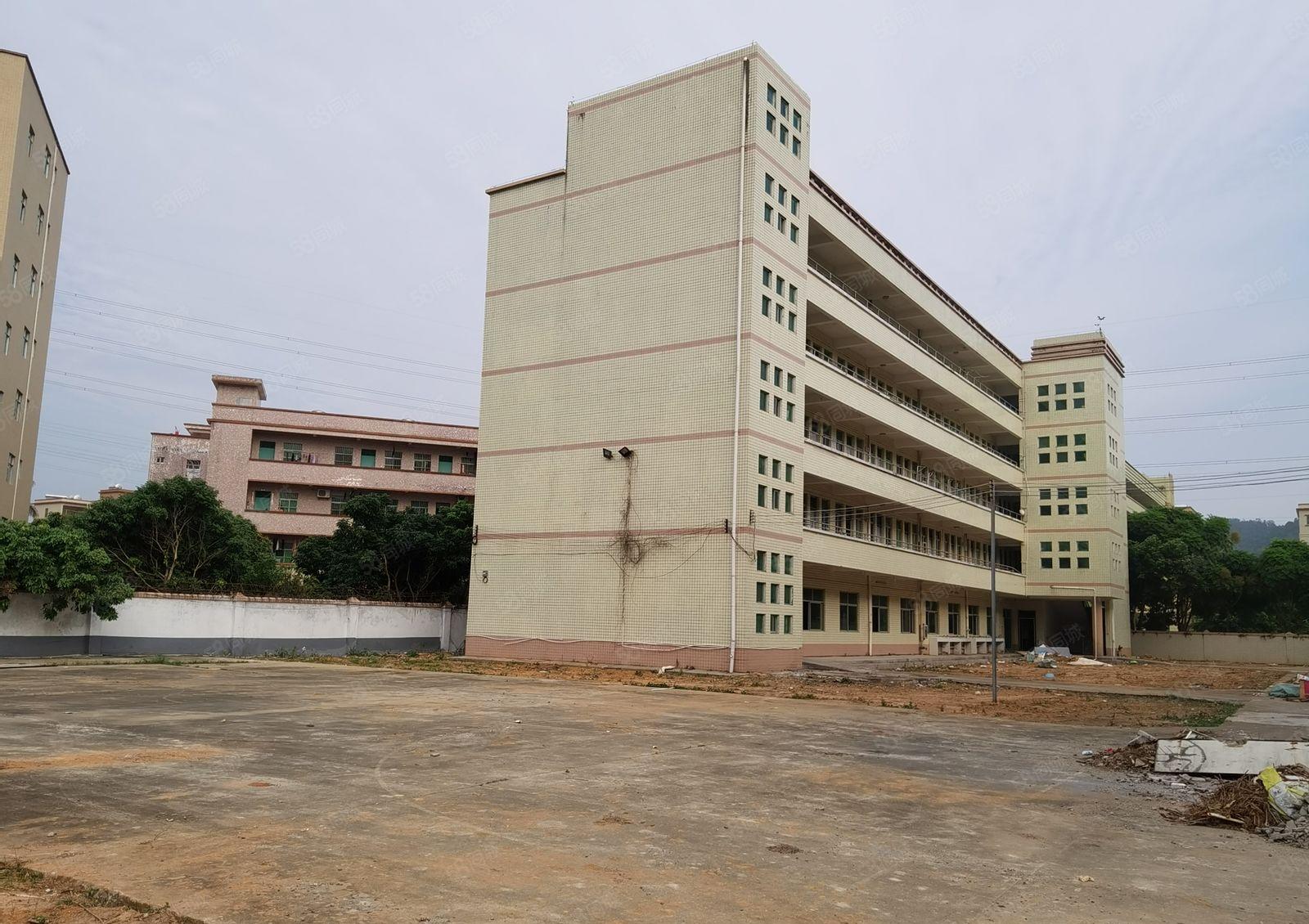 惠阳三和独门独院大空地标准厂房15000平出租1000平起分