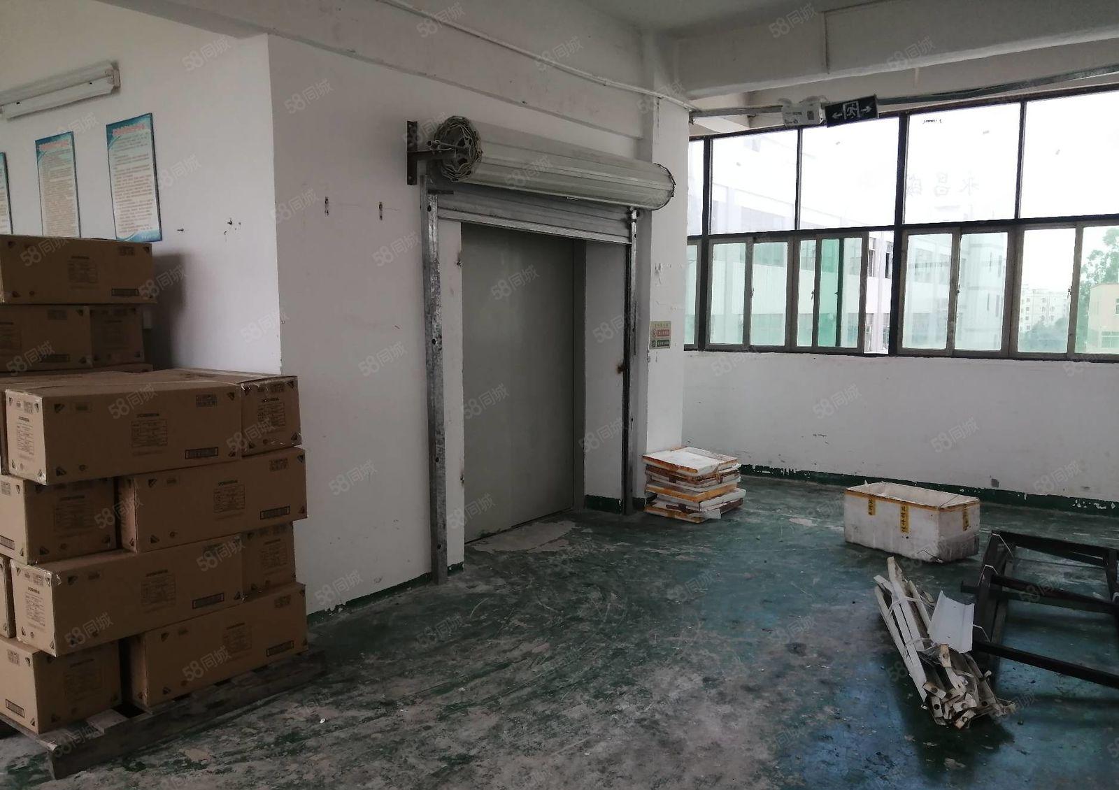 惠阳新出单层标准带装修600平