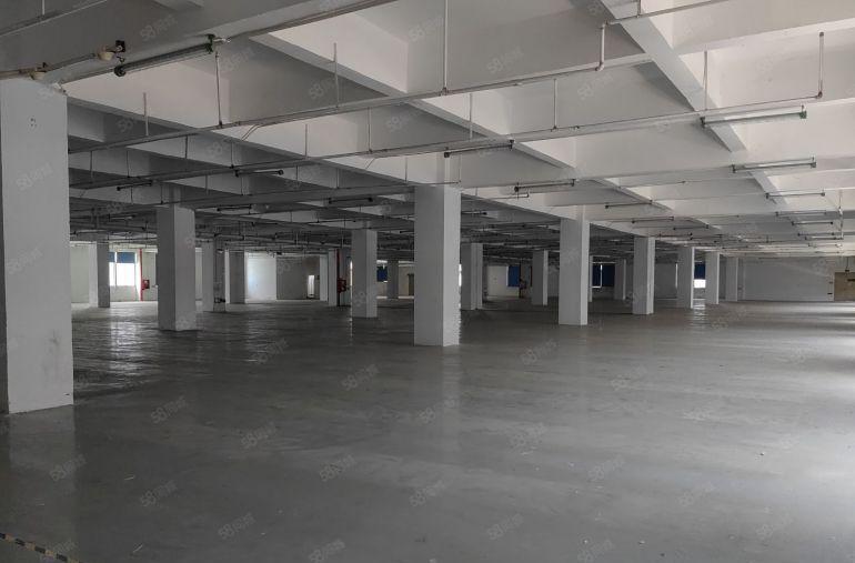 沙田原房东红本厂房实际面积花园式独院厂房5000平一楼6米