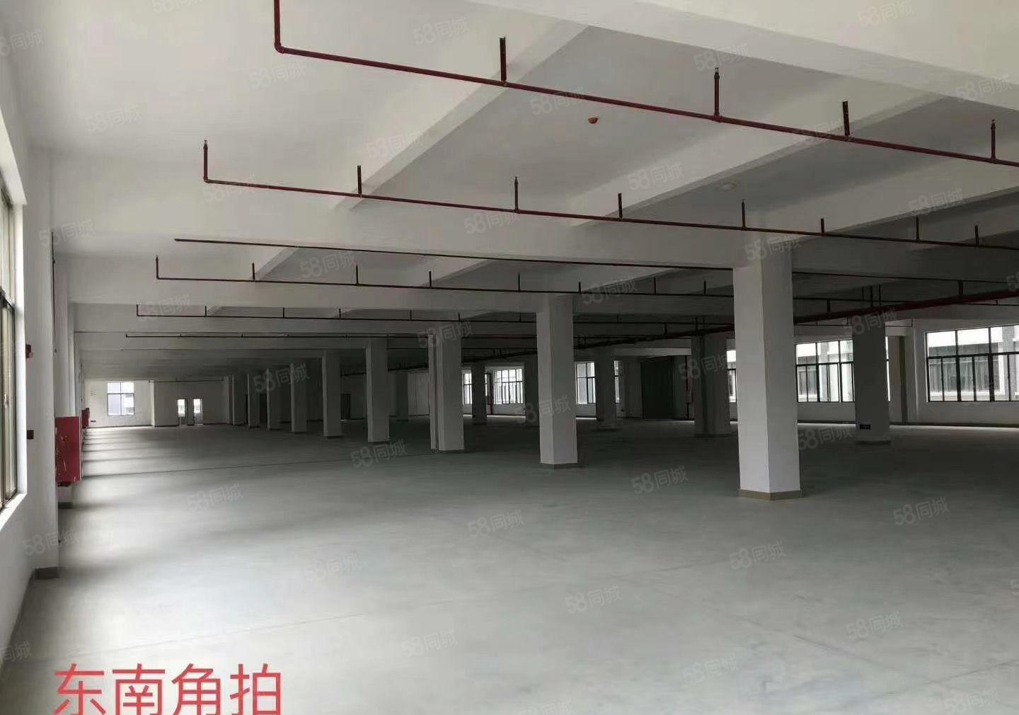 惠阳秋长原房新建独栋标准8000平米可分租无公摊