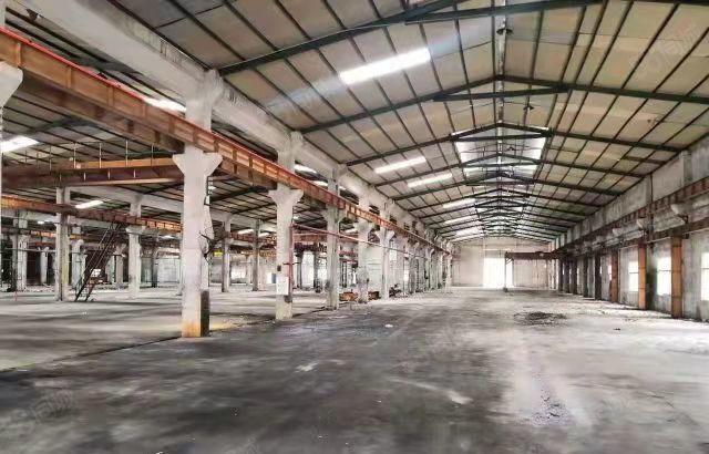 新圩新出钢构独院11000平，大小可分租