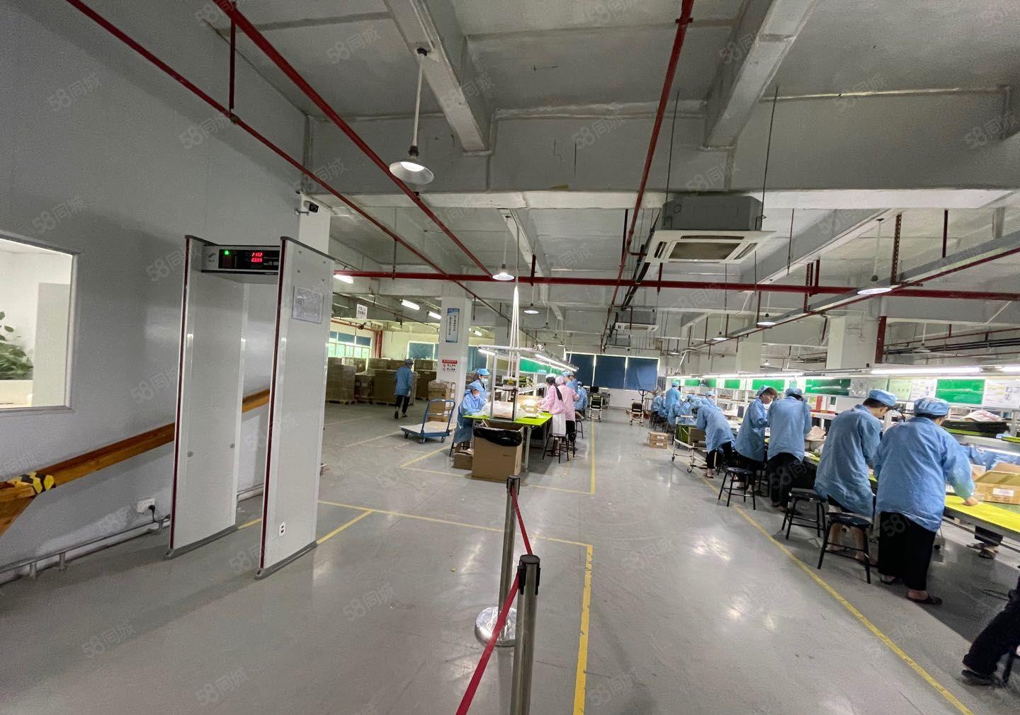 沙田镇长龙岗工业区全新2000标准无尘车间厂房出租，可分租