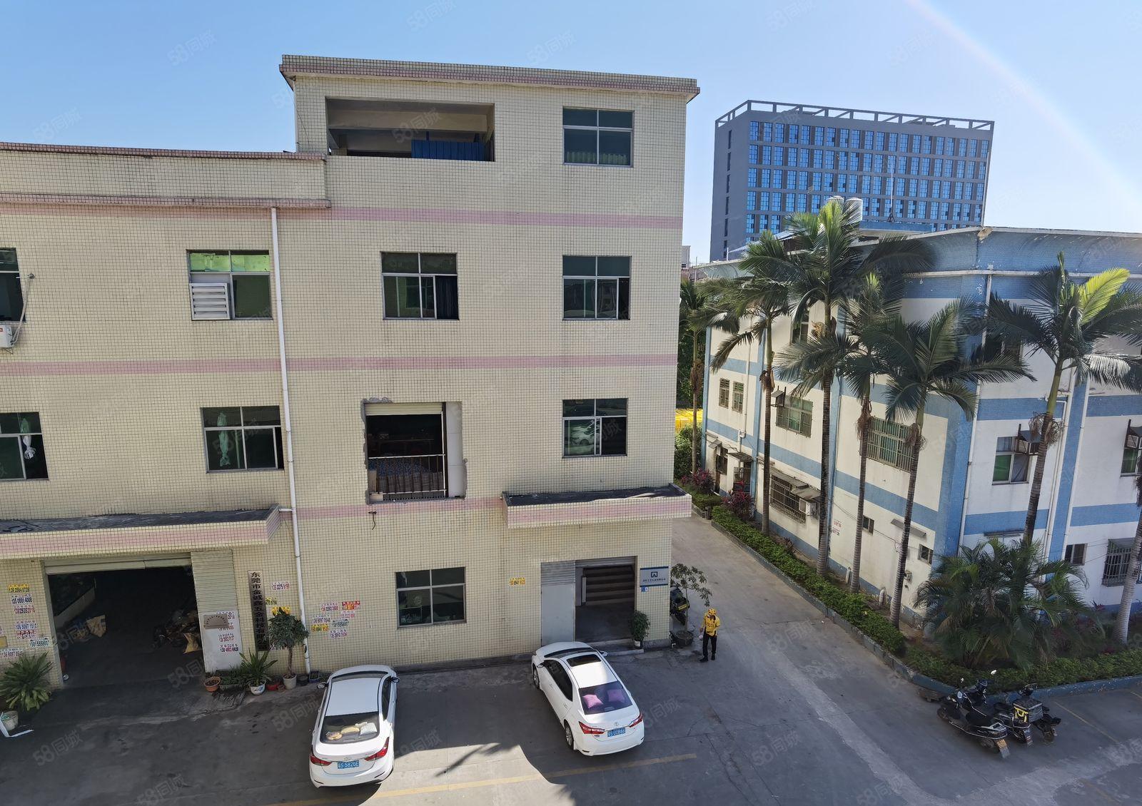 惠州惠阳区秋长1200平米标准厂房成熟工业园精装修原房东出租