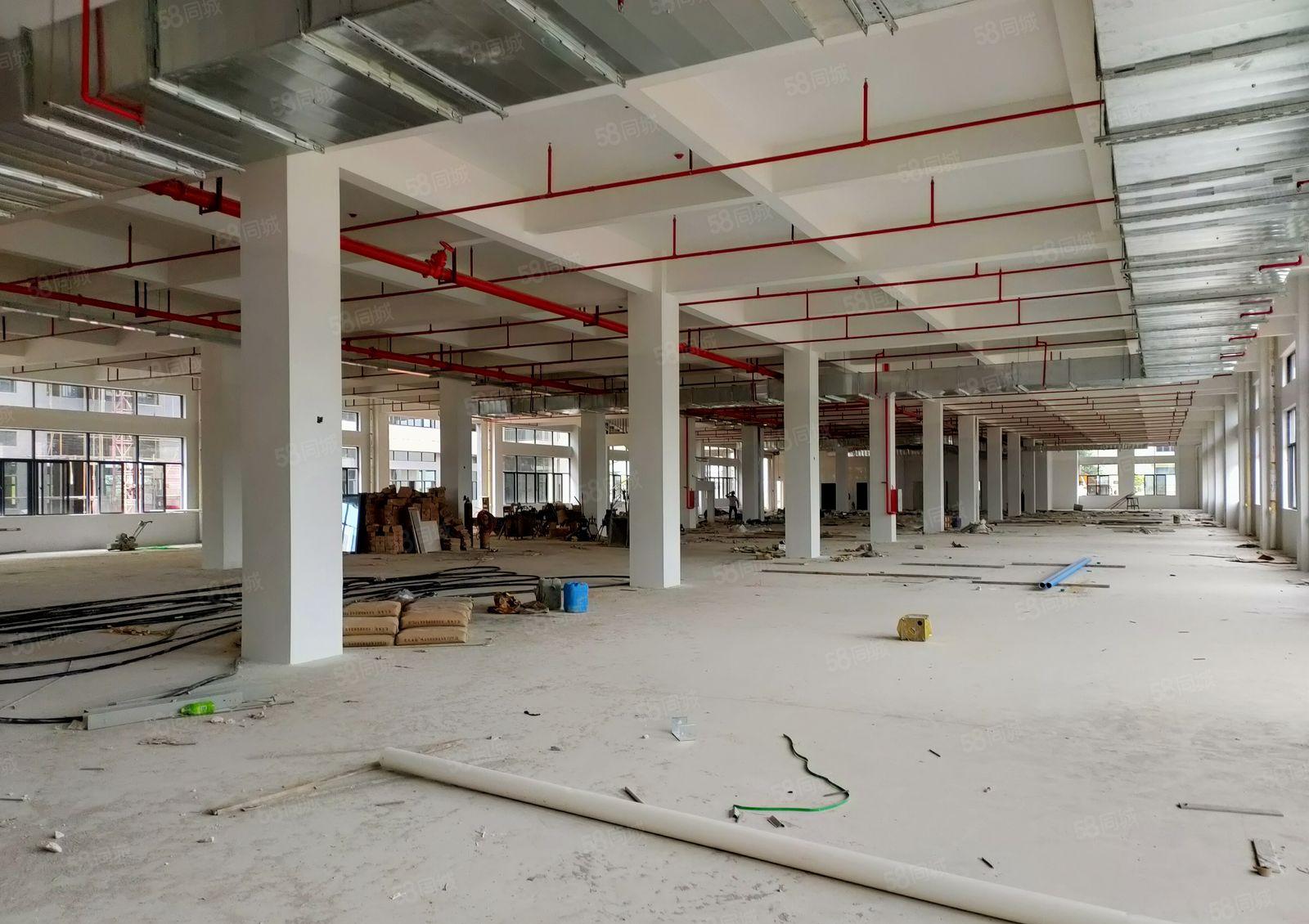 全新花园式厂房招租，总面积37000平米，可分租