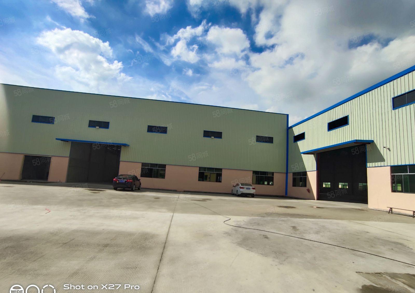 新圩长布新出3000平方单一层钢构！滴水9米，可大小分租！！