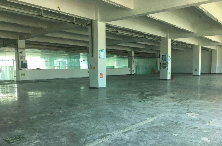 惠阳秋长沙田附近工业园4楼带货梯原房东红本出租大小可分租