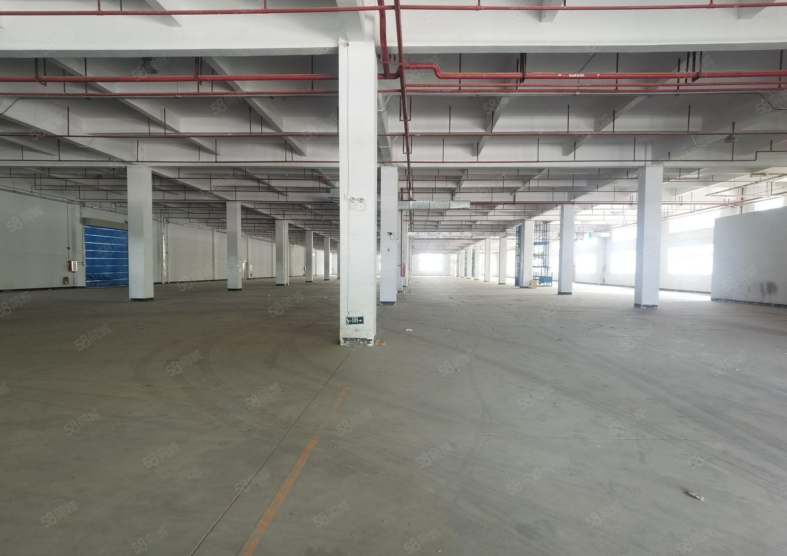 1千2千5千平起租钢构厂房租金20含税带卸货平台和雨棚。