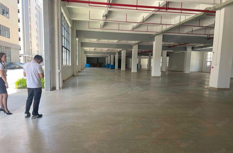 三和工业园全新厂房一二楼各1000平低价出租 楼上只要8块