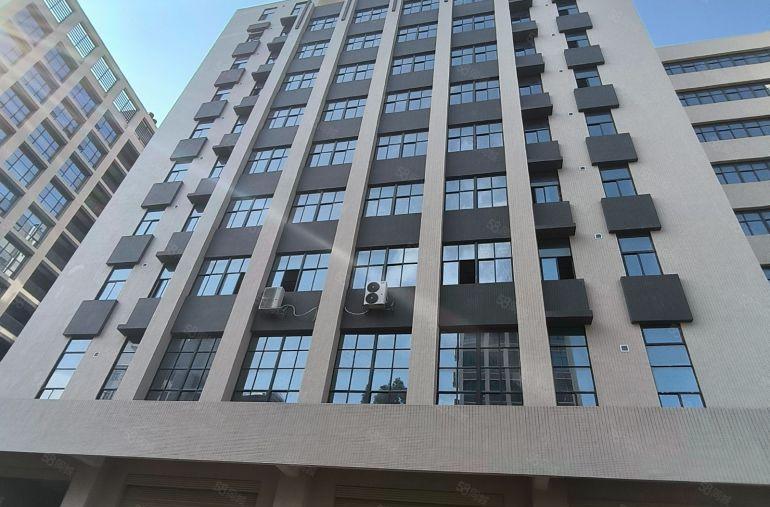 实际面积单层 2618 平！！三和全新原房东标准厂房出租