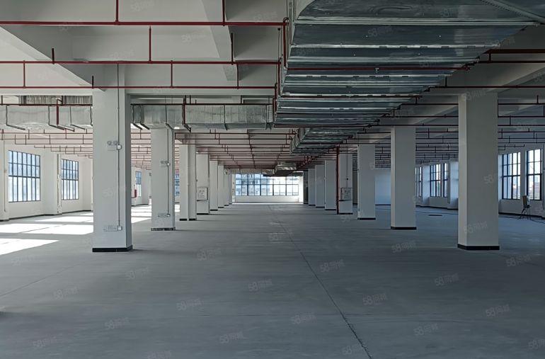 惠阳镇隆357省道边原房东花园式厂房出租