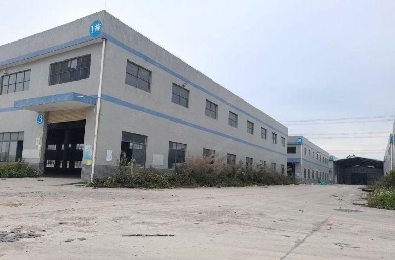 独门独院钢构厂房出租 可分租 15元 滴水9米高 空地2万平