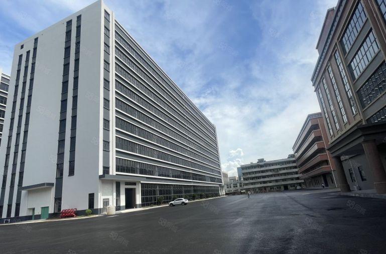 滴水7米！镇隆新出5000平一楼原房东厂房仓库出租 大小分租