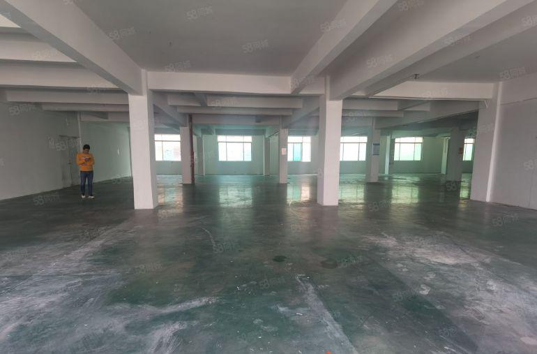 惠阳秋长维布原房东标准厂房出租