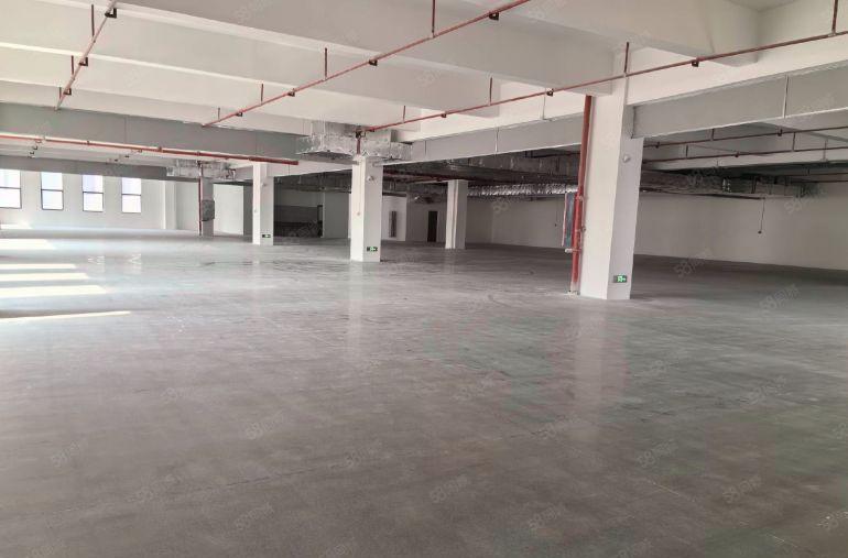 惠阳三和全新独栋厂房5000平 单层面积1000平低价出租