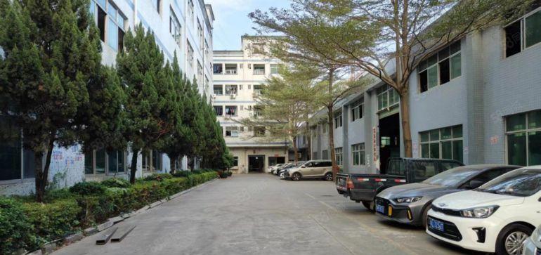 原房东钢构厂房900平，7米滴水  现成办公室