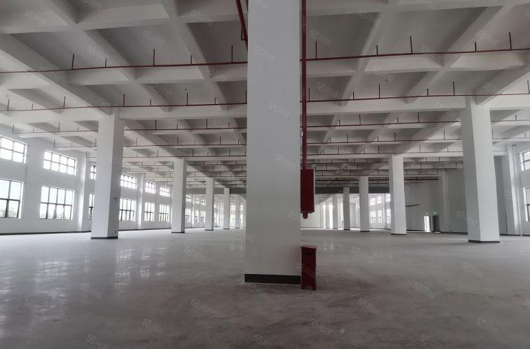 9块，三和经济开发区新出3000平原房东厂房仓库出租，可分租