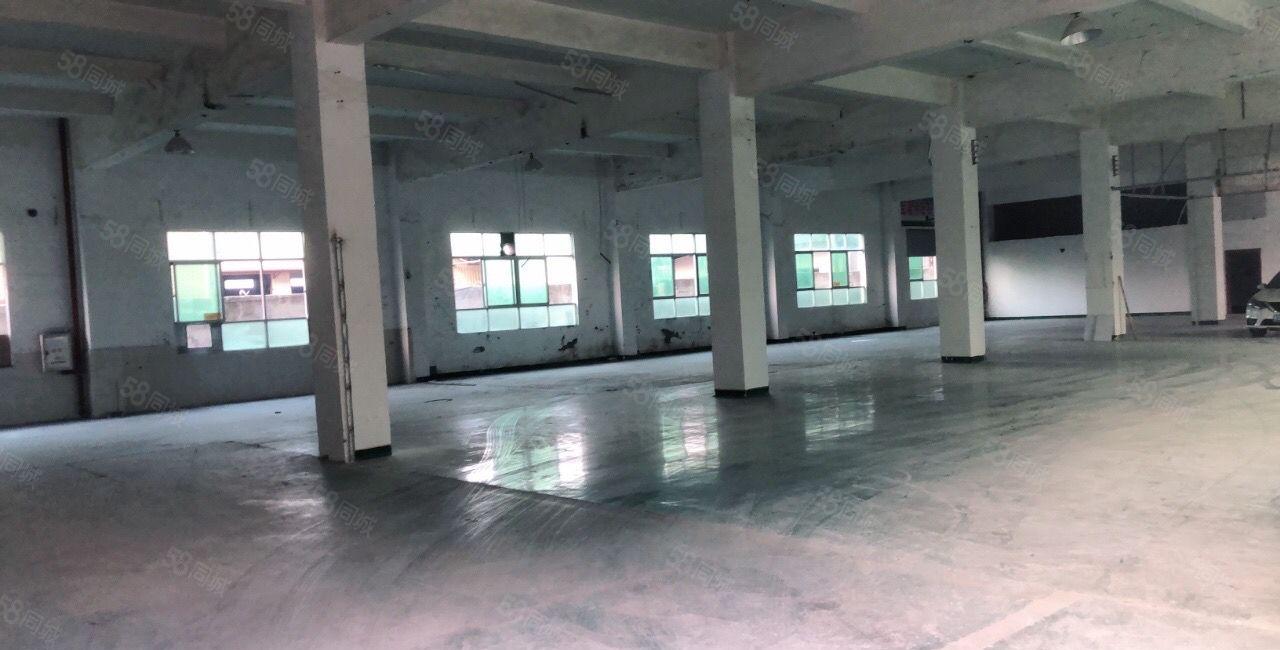新圩长布原房东独院厂房5层5000平出租