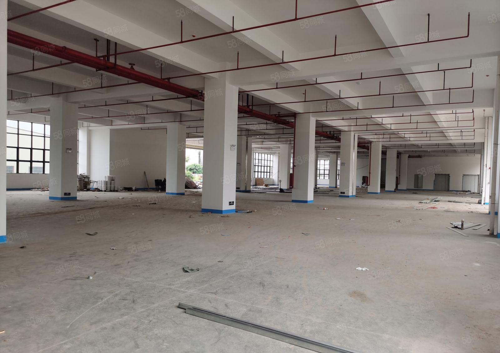 惠阳区沙田全新工业园标准厂房面积五万平米出租