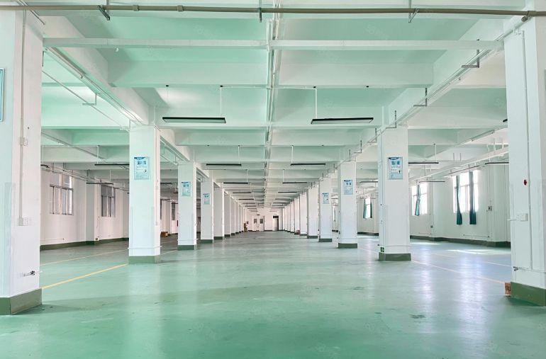 临深原房东独门独院10000平仓库厂房低价出租