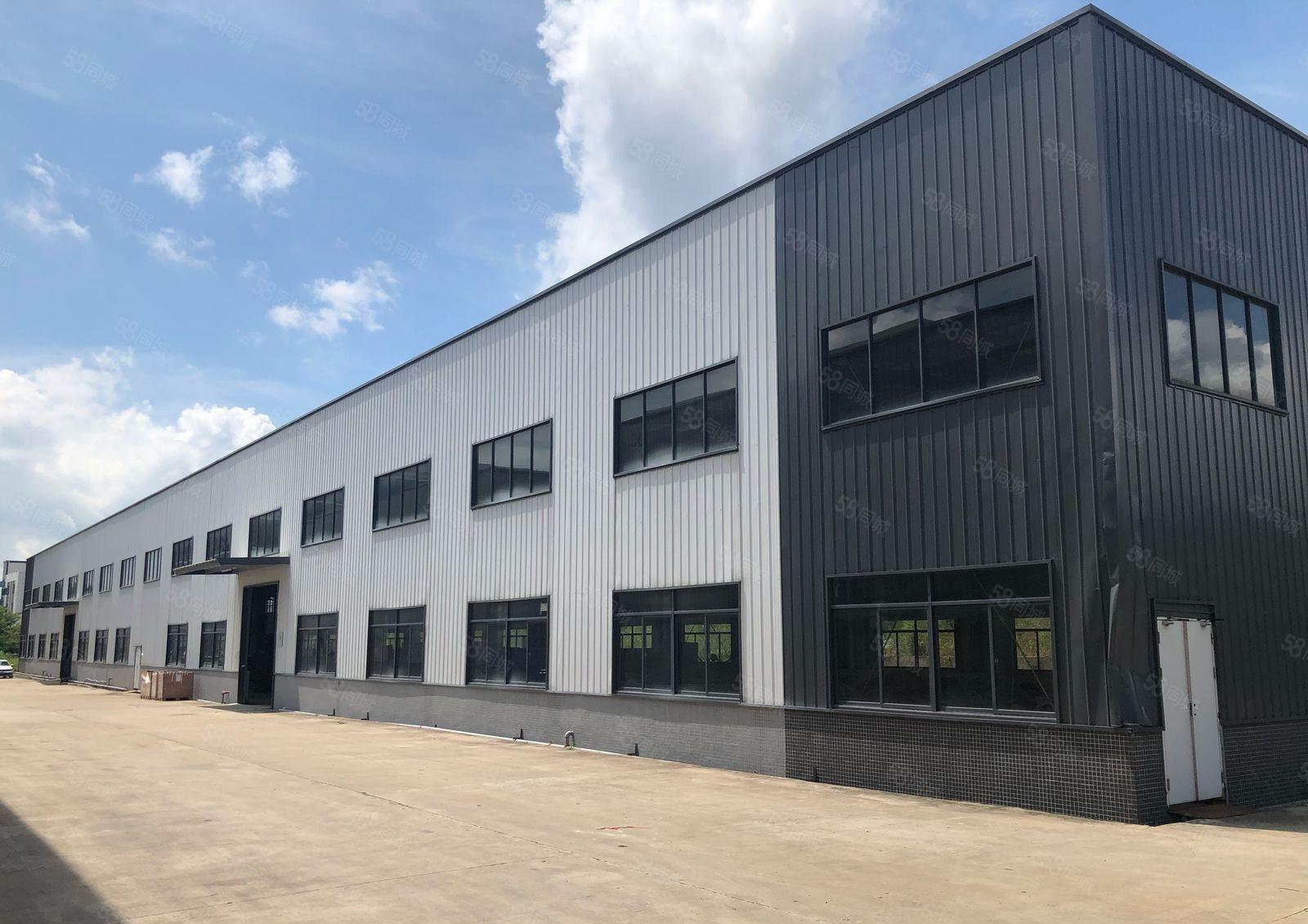 镇隆新出独门独院8000平米钢构厂房，滴水10米。