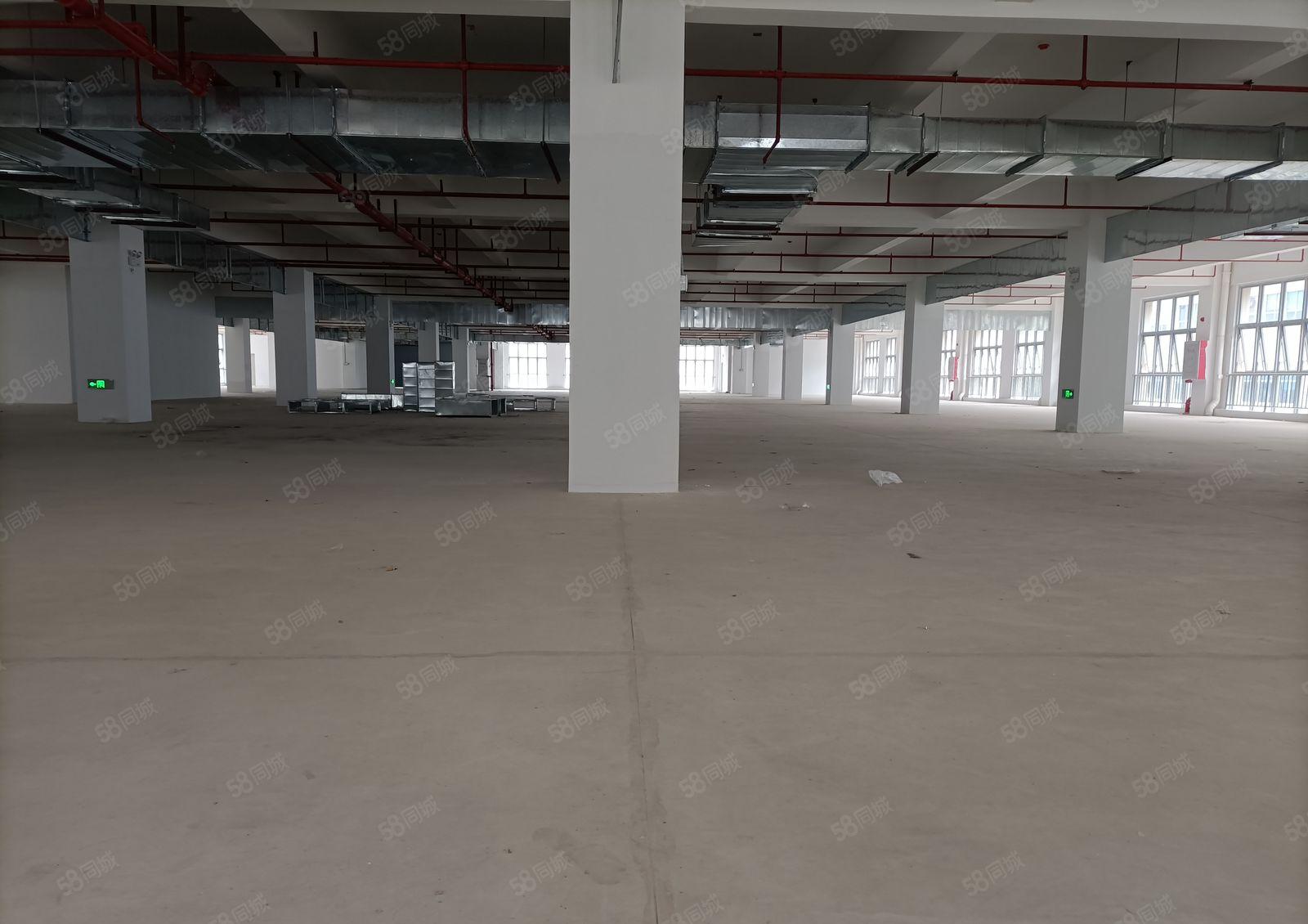 50万平大亚湾惠阳临深区域超大产业园全新厂房10元招租