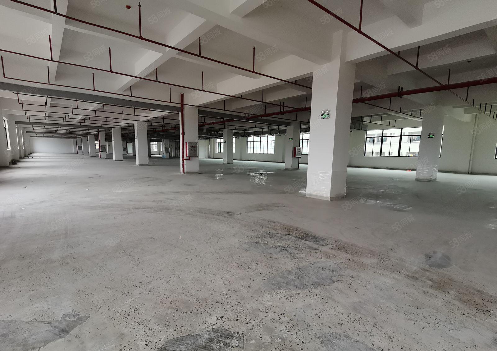 15元含税票价格，零公摊原房东红本厂房出租，可分租1千平方起